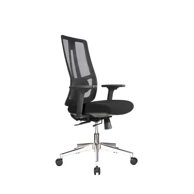 RFG Ergonomic chair Artur W, black seat, black backrest