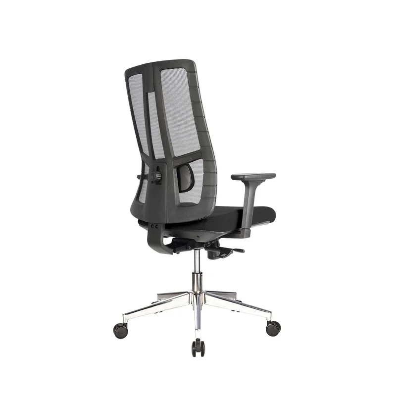 RFG Ergonomic chair Artur W, black seat, black backrest