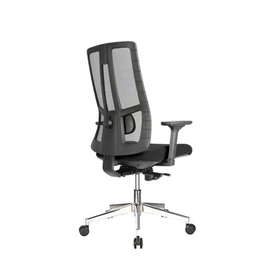 RFG Ergonomic chair Artur W, black seat, black backrest