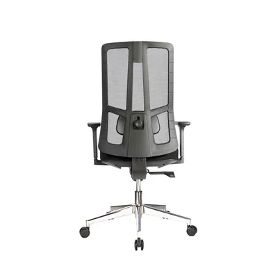 RFG Ergonomic chair Artur W, black seat, black backrest