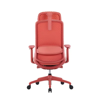 RFG Ergonomic Chair Style HB, coral