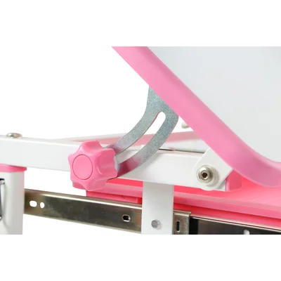 RFG Ergonomic School Desk and Chair Ergo Tech B201N, pink