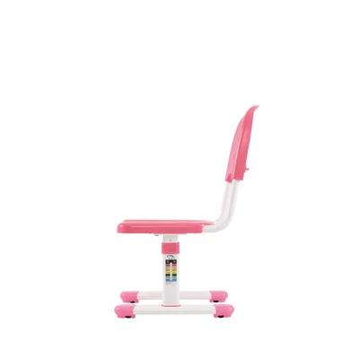 RFG Ergonomic School Desk and Chair Ergo Tech B201N, pink