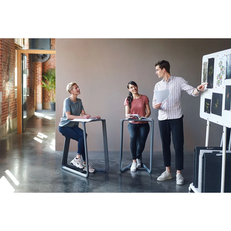 Sedus Workstation Se:Note, black