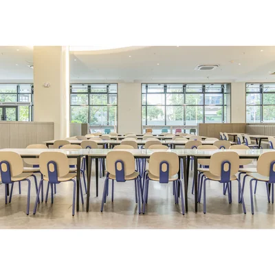 RFG Loop Dining Chair, Plywood, Light Beech, Blue Metal Legs, Set of 4