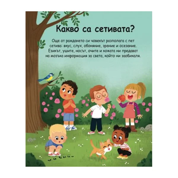 Encyclopedia for the Youngest – The Five Senses