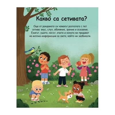 Encyclopedia for the Youngest – The Five Senses