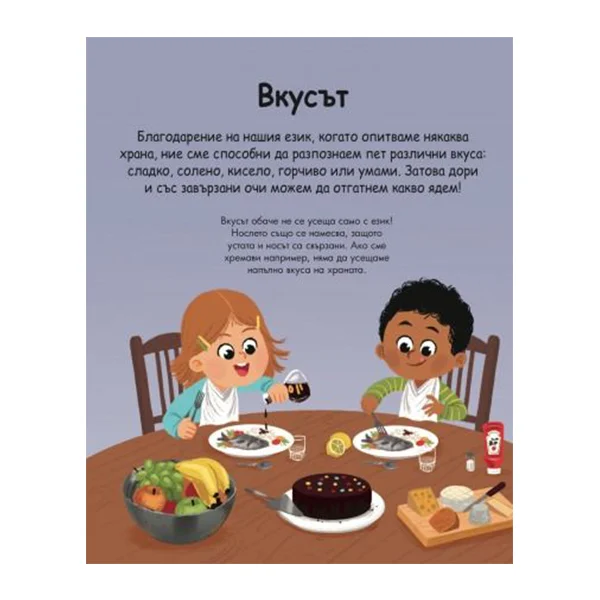 Encyclopedia for the Youngest – The Five Senses