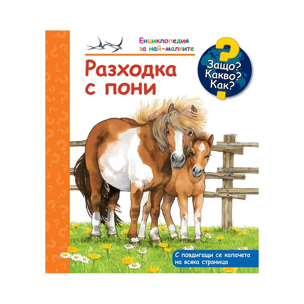 WHY WHAT HOW - A WALK WITH A PONY