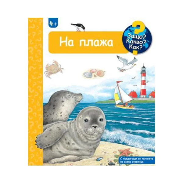 Защо? Какво? Как? - На плажа