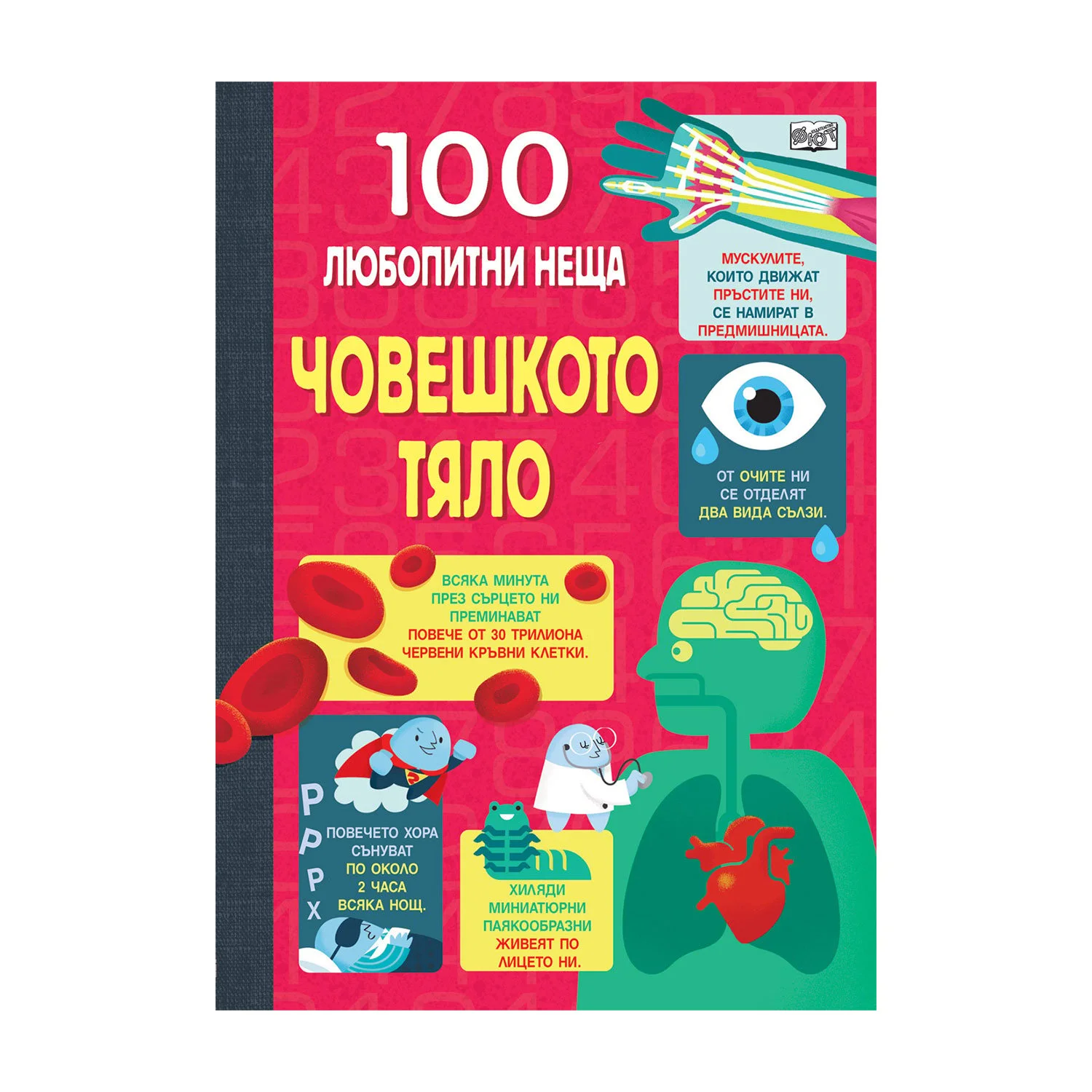 100 curious facts – Human body