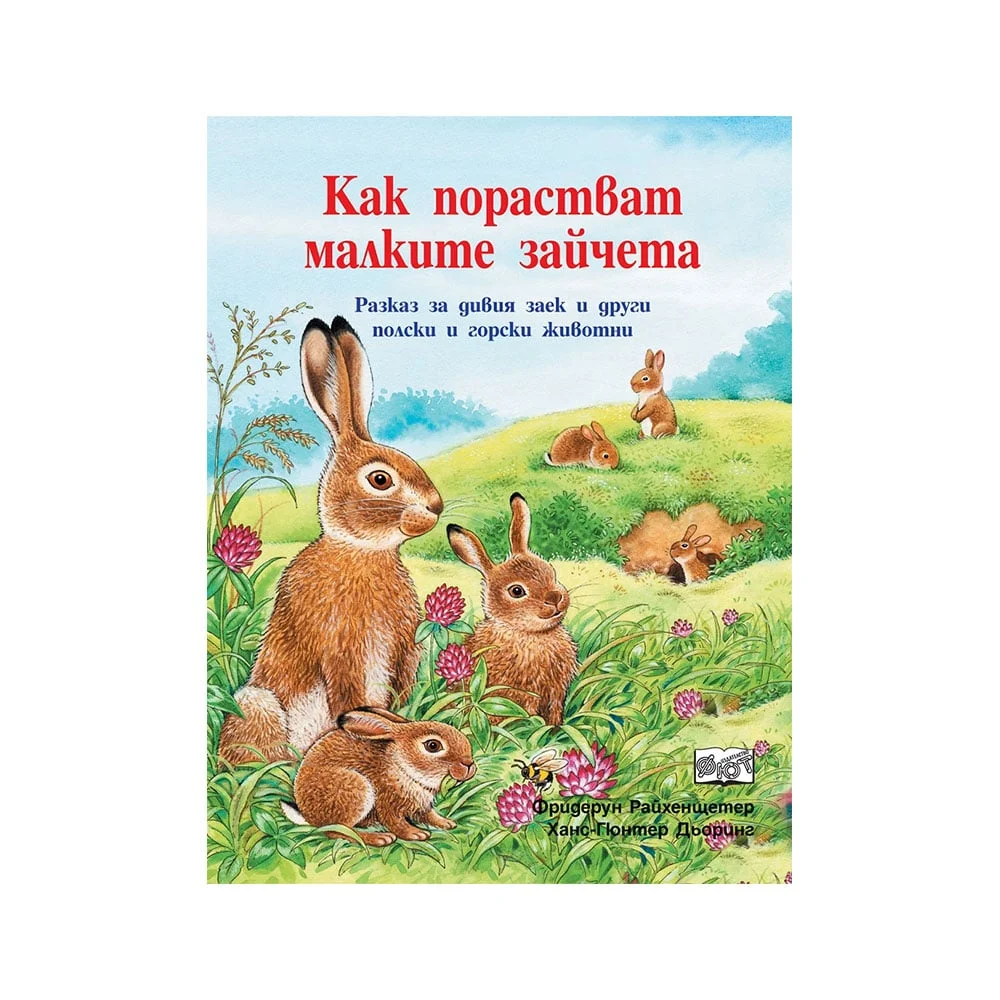 How Baby Rabbits Grow