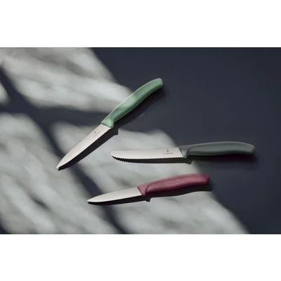 Victorinox Color Knife Set Swiss Classic, 3 pieces