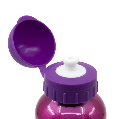 Stor Bottle Paw Patrol - Skye, aluminum, 400 ml