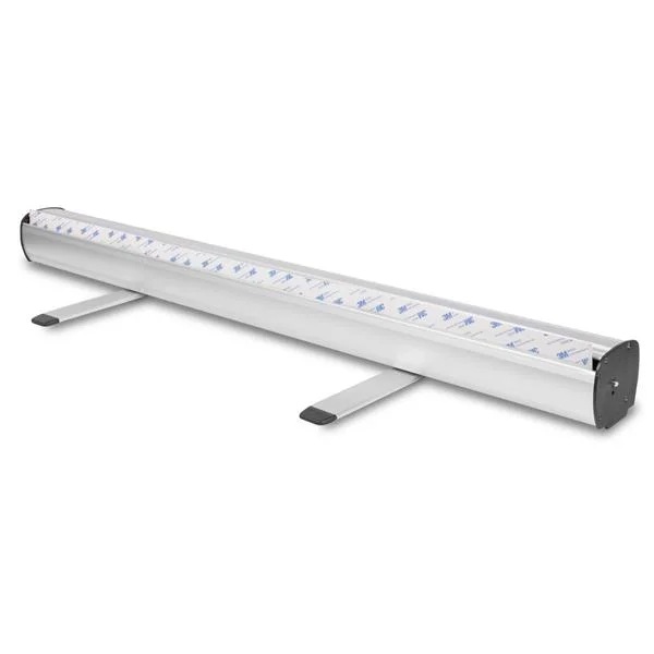 Roll Banner Standard, 85 x 200 cm
