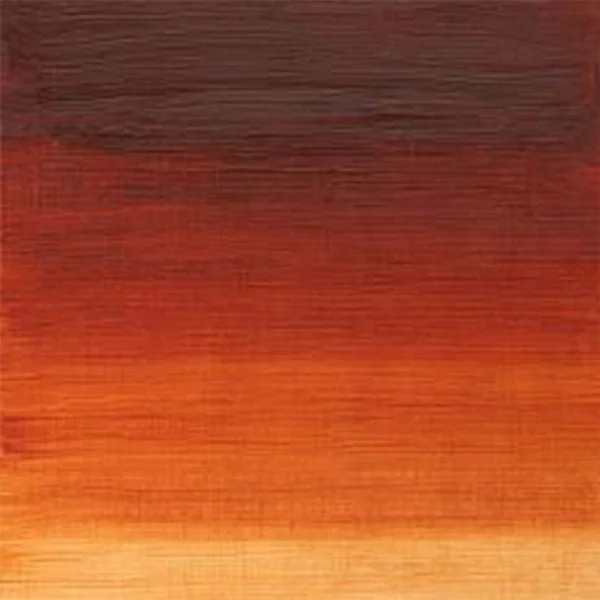 Winton Oil paint, Burnt Sienna, 37 ml