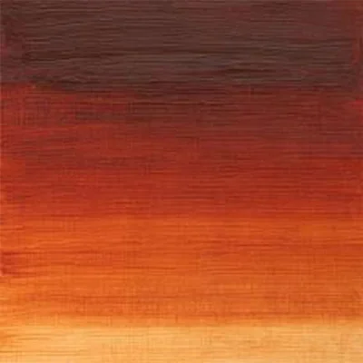 Winton Oil paint, Burnt Sienna, 37 ml