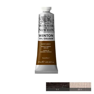 Winton Oil Paint, Burnt Umber, 37 ml