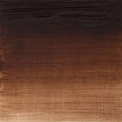 Winton Oil Paint, Burnt Umber, 37 ml