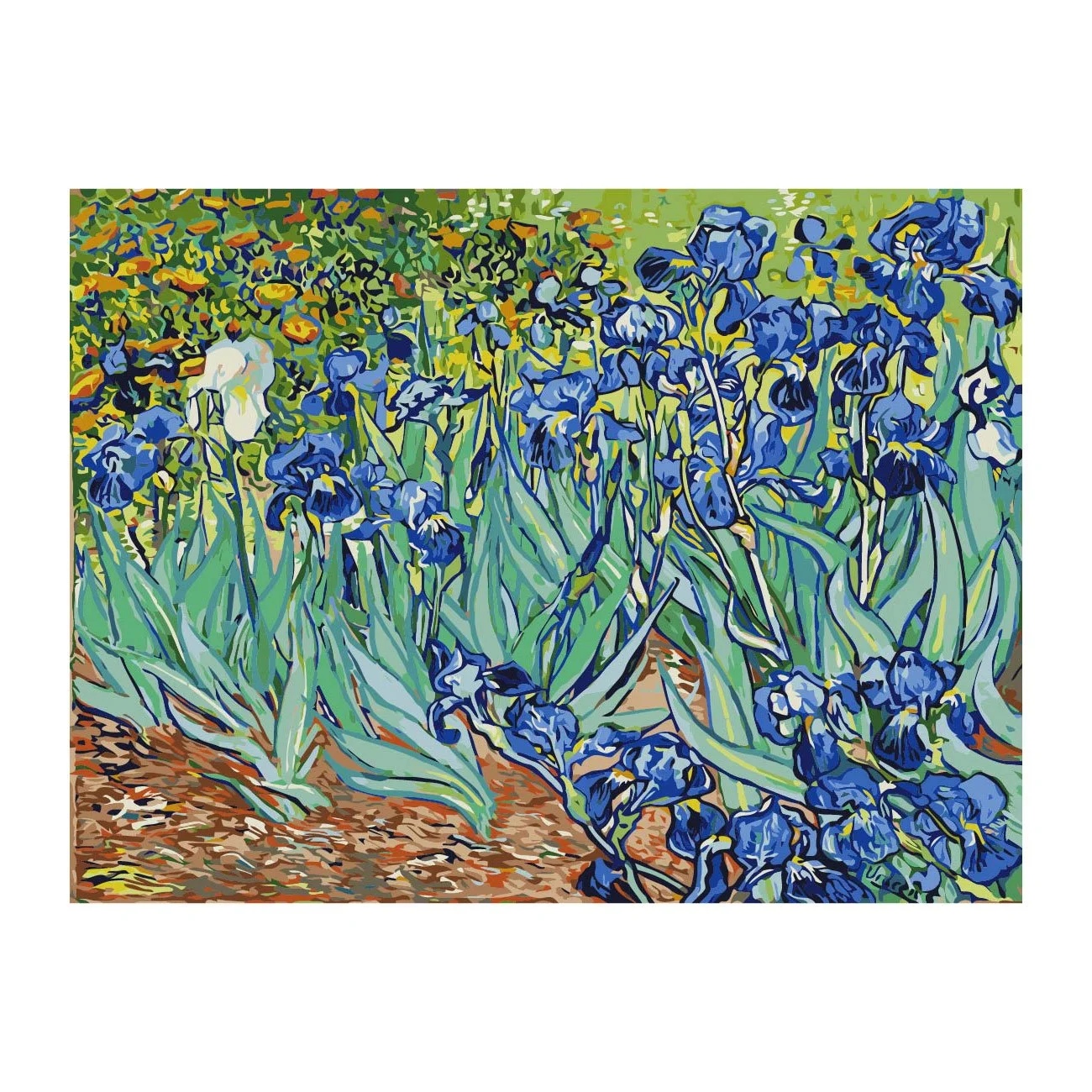 Foska Paint-by-numbers set Irises, 40 x 50 cm
