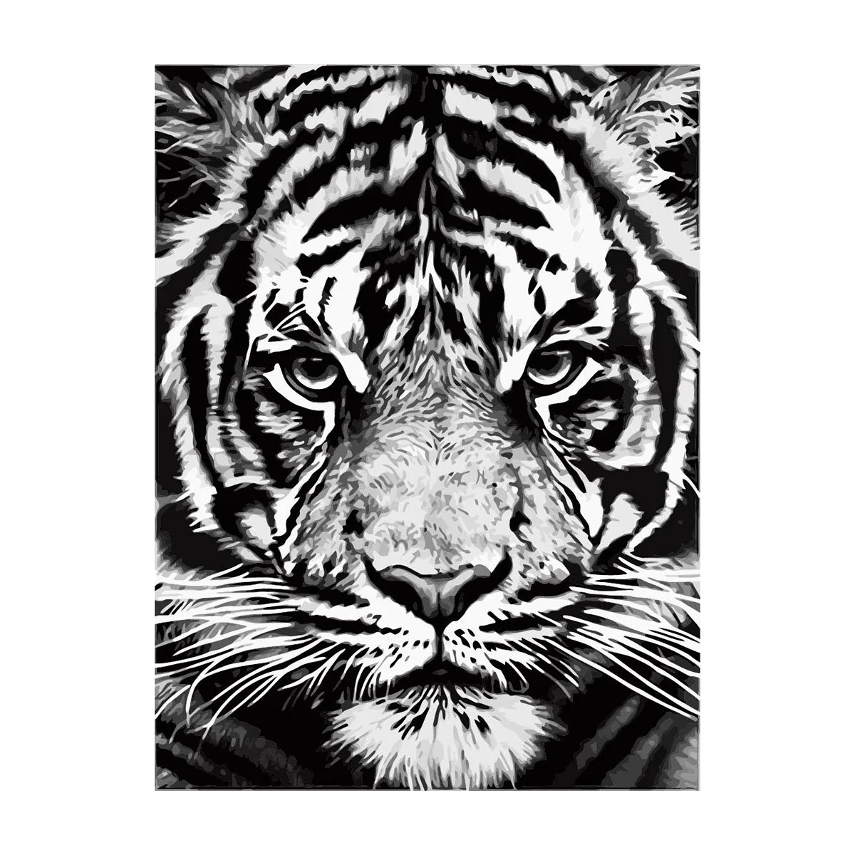 Foska Paint by numbers kit White Tiger, 40 x 50 cm