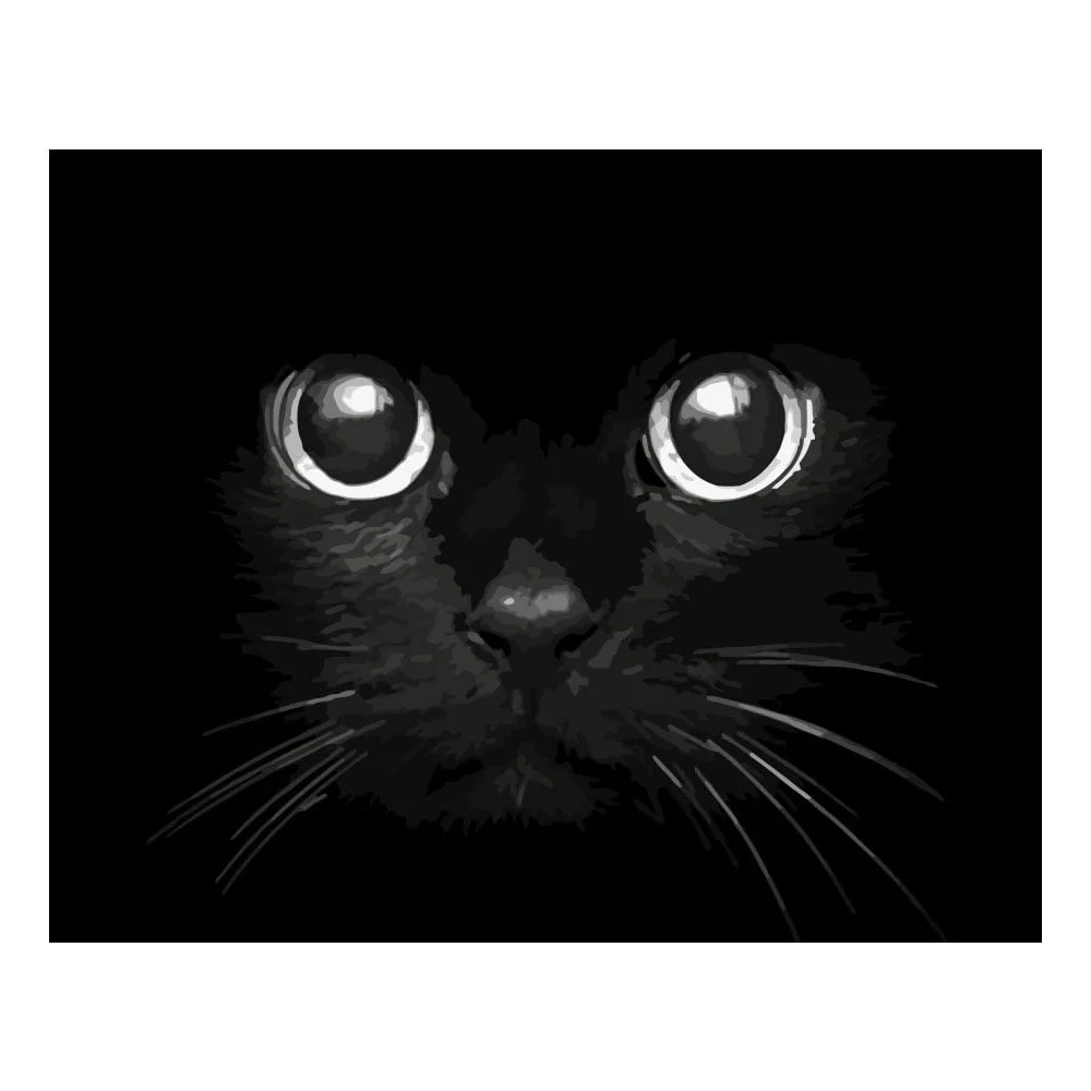 Foska Paint-by-numbers set Cat Eyes, 40 x 50 cm