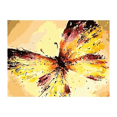 Foska Paint by Numbers Kit Butterfly, 40 x 50 cm