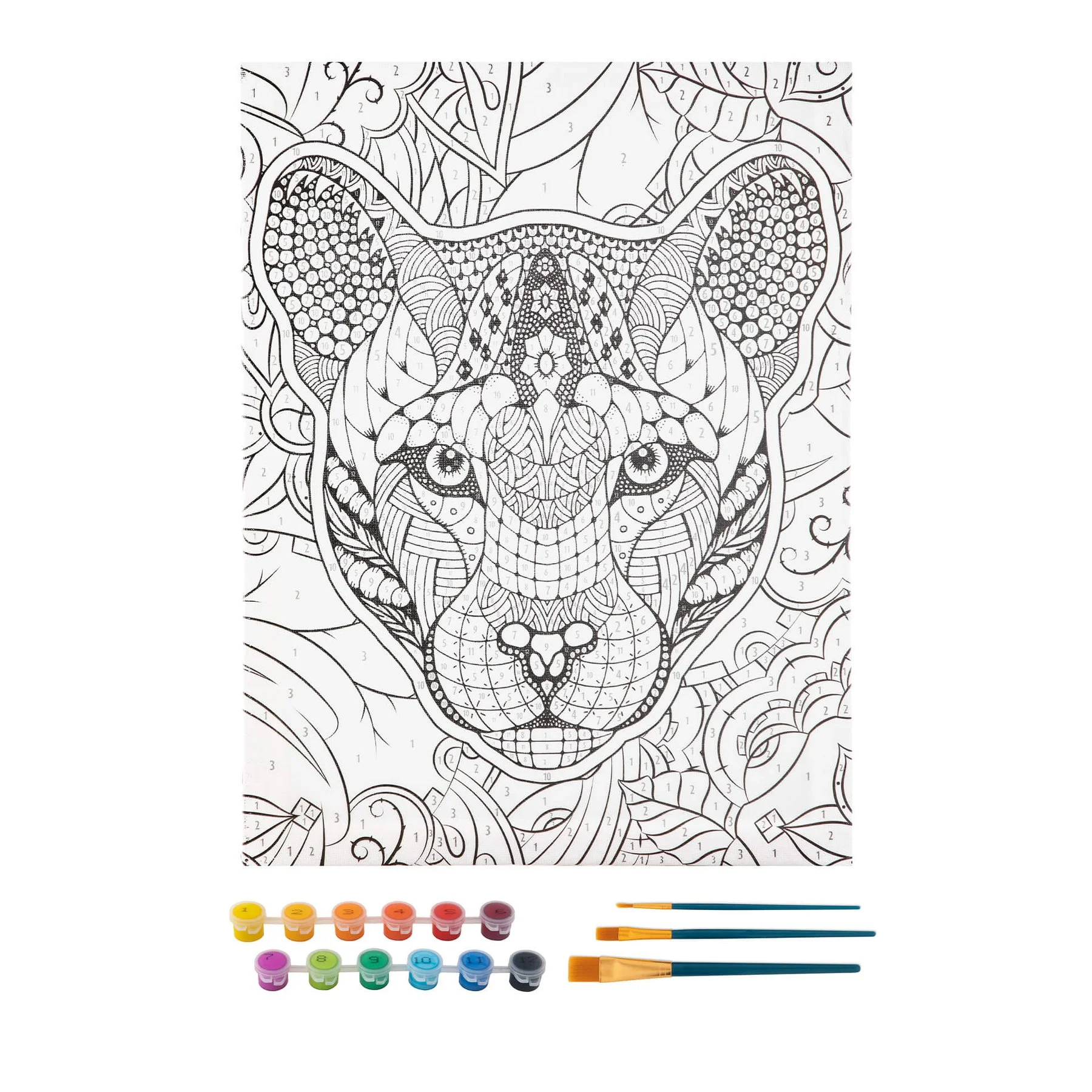 Moxy Canvas for coloring by numbers Tiger, with 12 paints