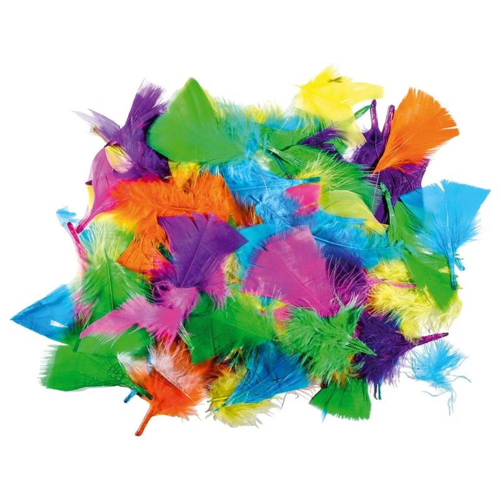 JUNIOR MINI FEATHERS FOR DECORATION MIX 24 PIECES
