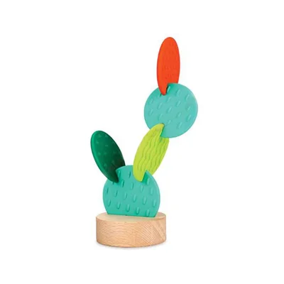 Nowa Szkola Sensory Cactus with silicone rings