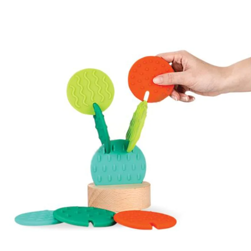 Nowa Szkola Sensory Cactus with silicone rings