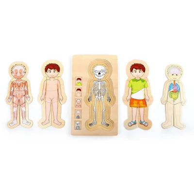 Small Foot Layer Puzzle Boy’s Body, wooden, 28 pieces