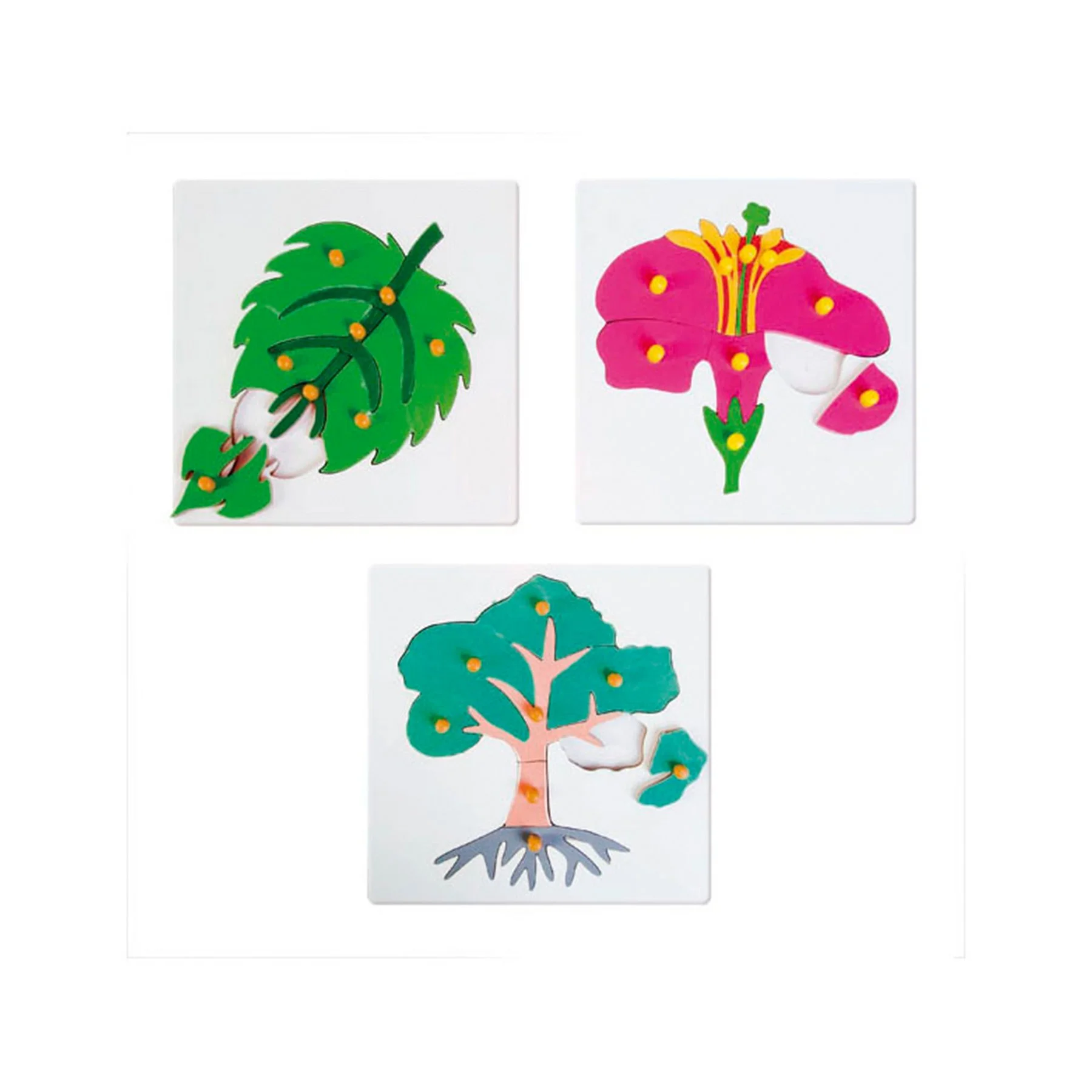 Nowa Szkola Botany Puzzle, 25 x 25 cm