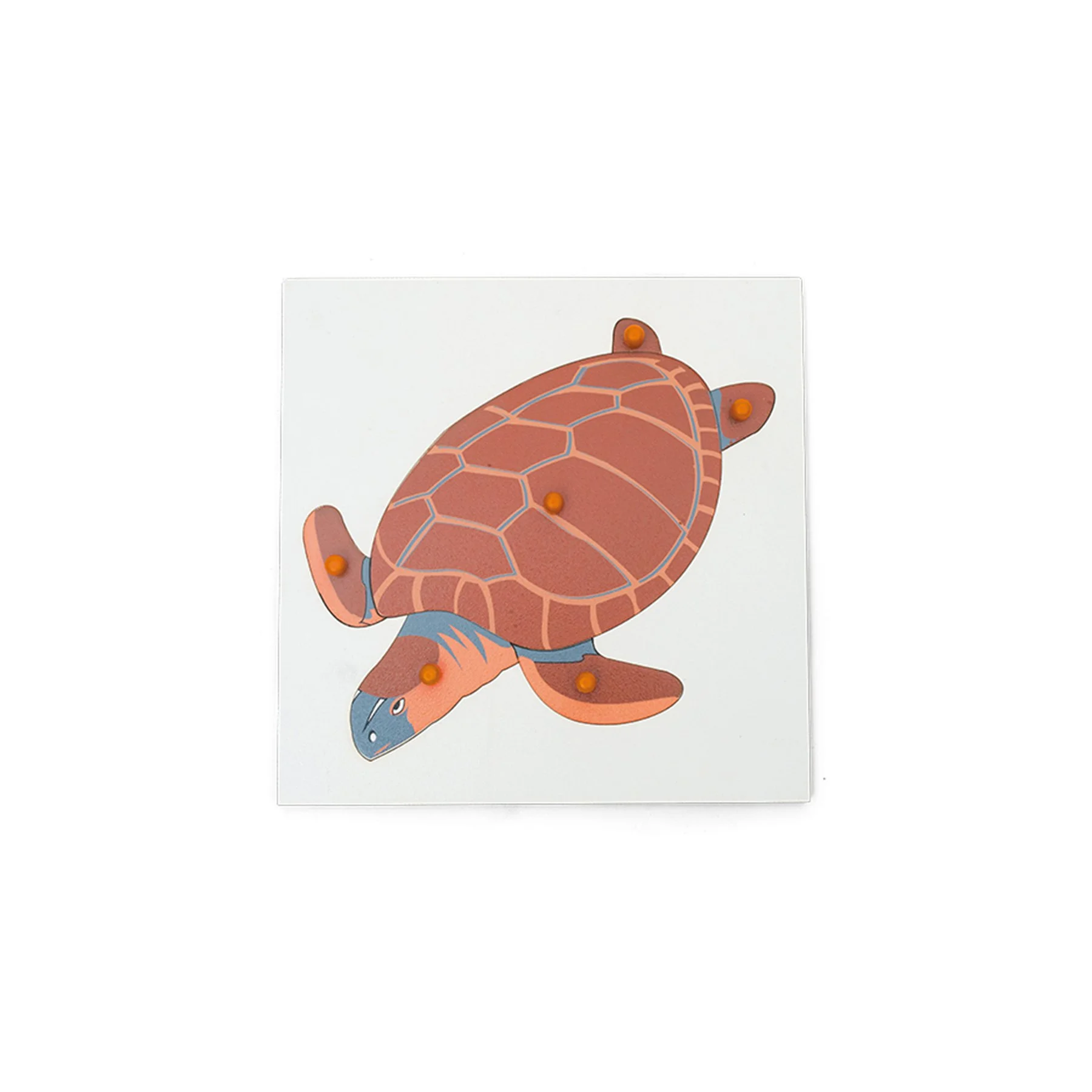 Nowa Szkola Puzzle Turtle, wooden, 6 pcs