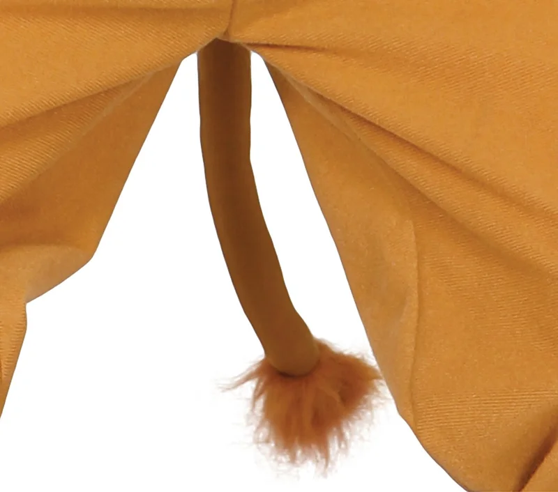 Lion Costume, for 5–6 years old children