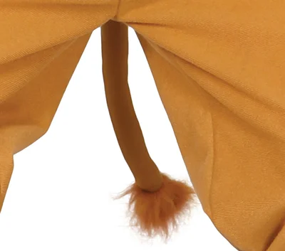 Lion Costume, for 5–6 years old children