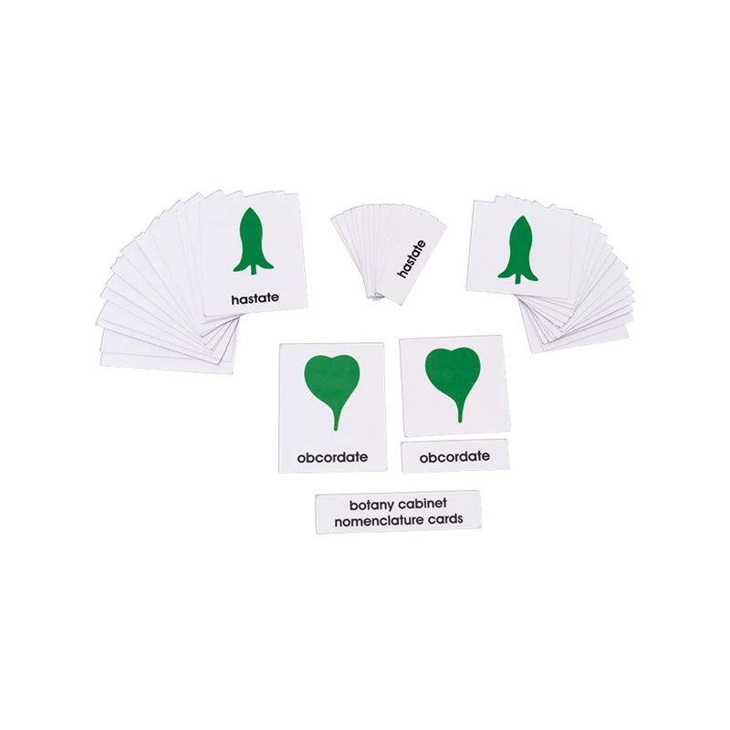 Nowa Szkola Botanical cards Montessori, with labels