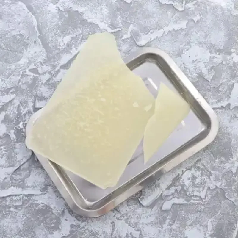 Gelsonlab Dissection Tray