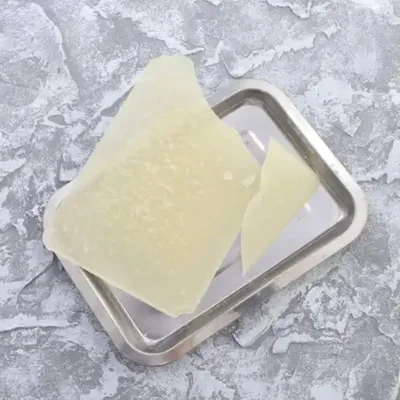 Gelsonlab Dissection Tray