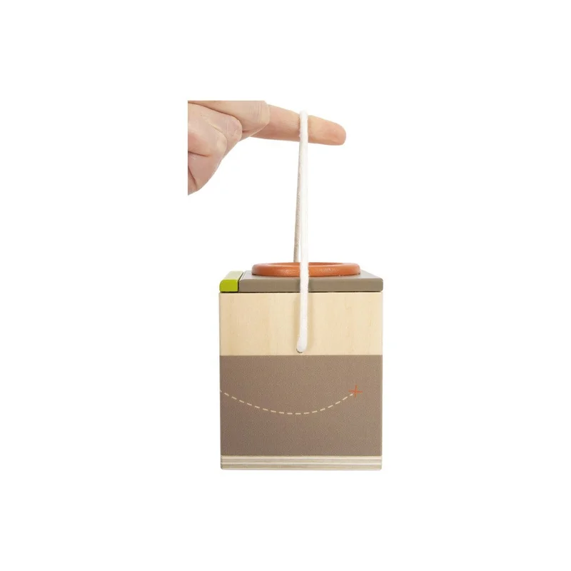 Small Foot Bug Observation Box