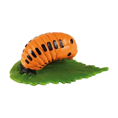 Life cycle Eduplay Ladybird Life Cycle