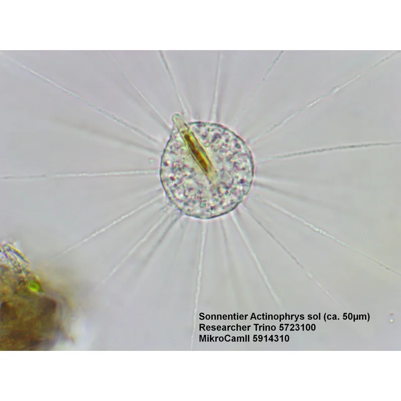 Bresser Microscope Researcher Trino, 40x – 1000x