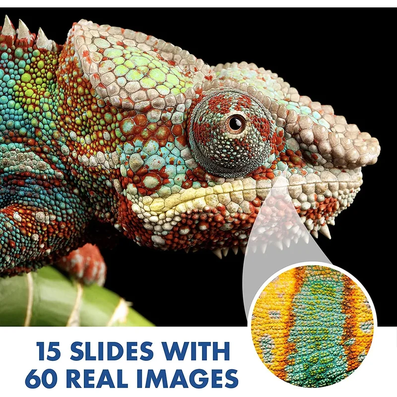 Microscope Learning Resources GeoSafari Kidscope, for kids