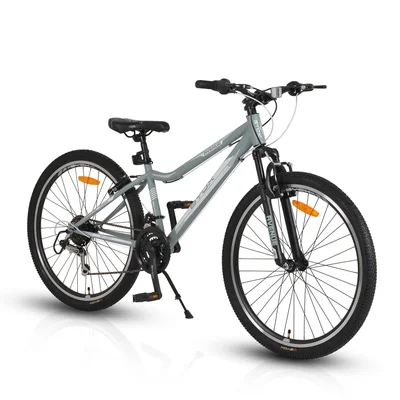 Byox Bicycle Urban, 26'', light grey