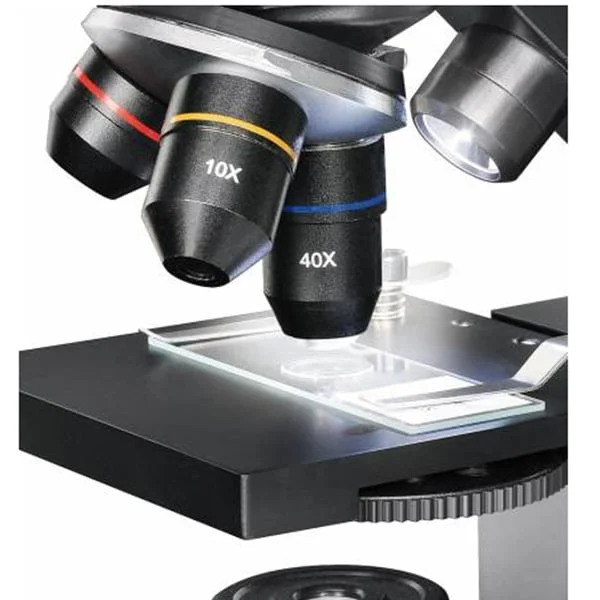Microscope Biolux 40x–1280x