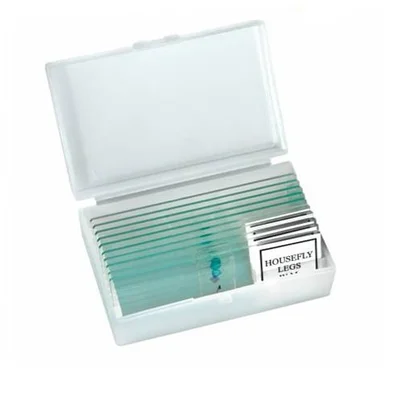Microscope Biolux 40x–1280x