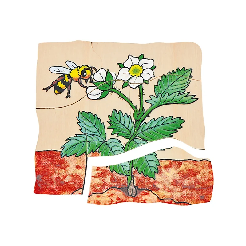Beleduc Puzzle Strawberry, layered, wooden