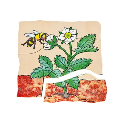 Beleduc Puzzle Strawberry, layered, wooden