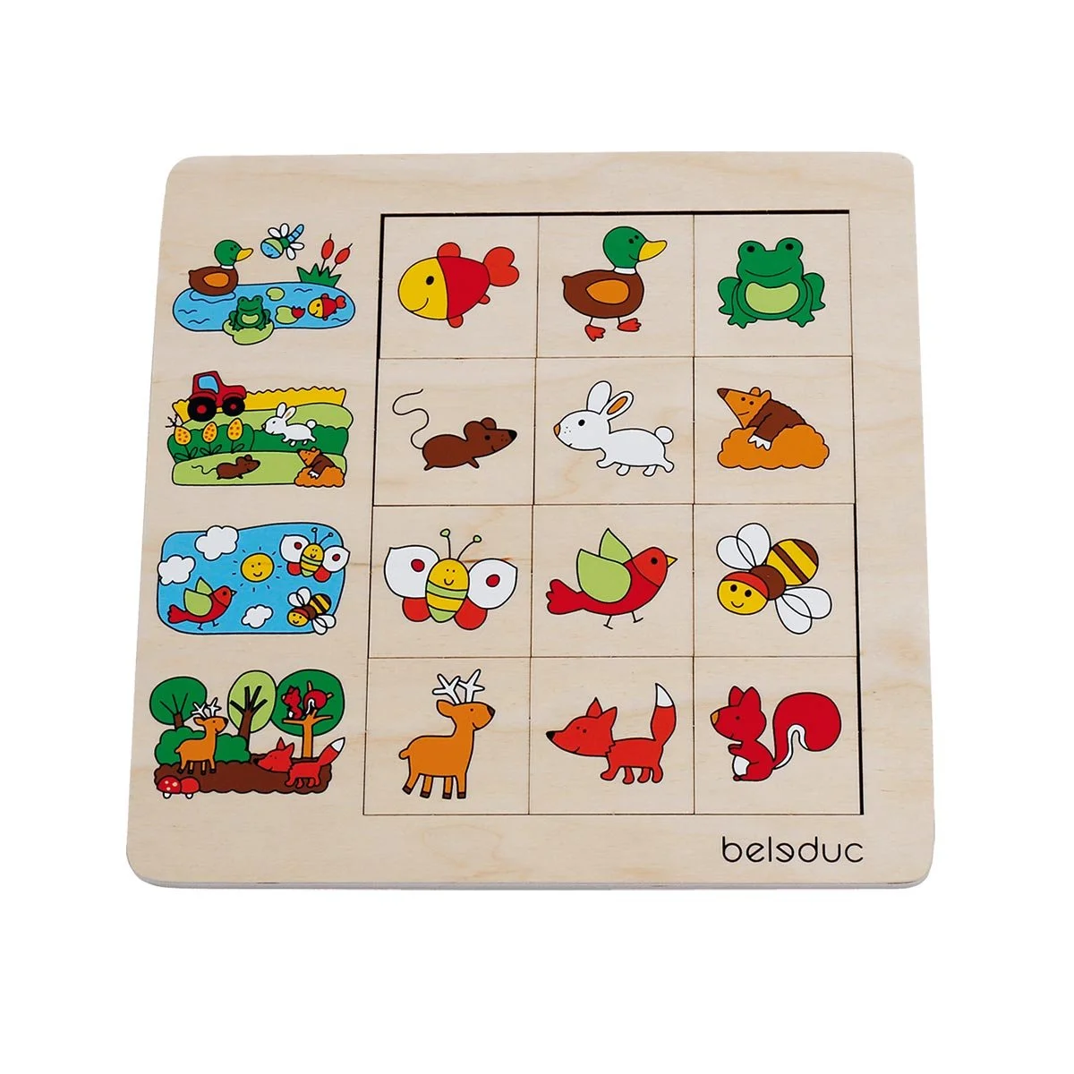Sorting set Beleduc Environment Sorting
