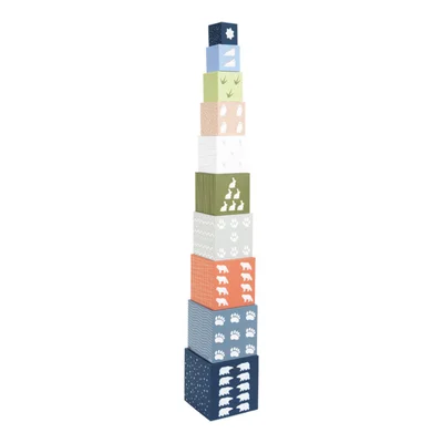 Small Foot Stacking cubes, with arctic animals
